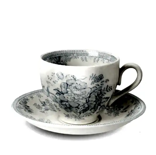 Blue Asiatic Pheasants Teacup & Saucer